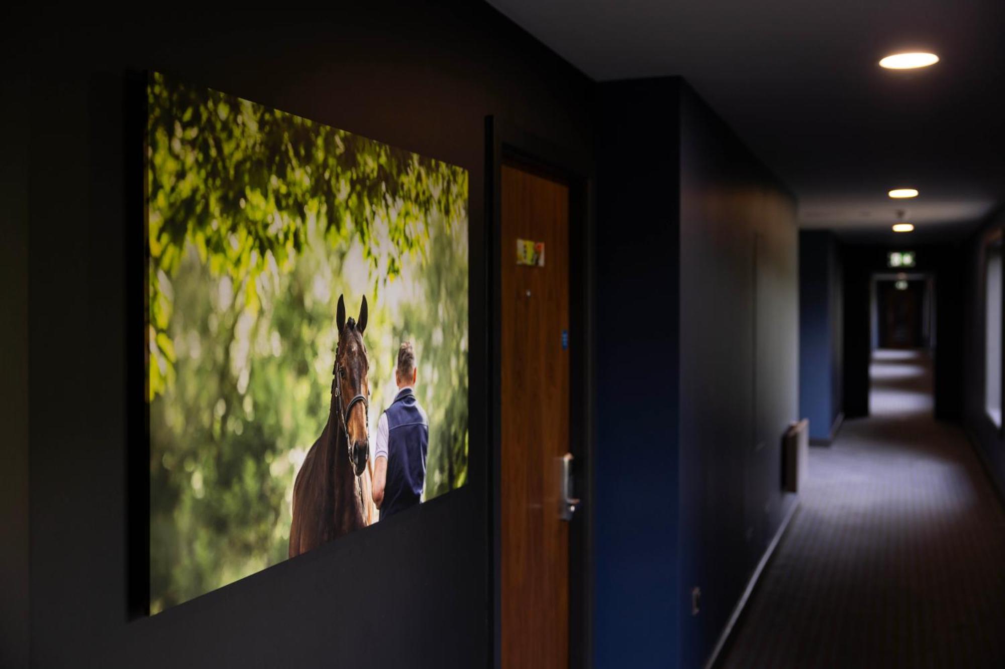 The Club Hotel At Goffs Naas Extérieur photo